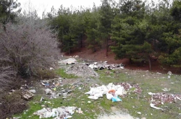 Amasya’da orman çöplüğe dönüştü: "Bu toprakları piyangodan kazanmadık" 