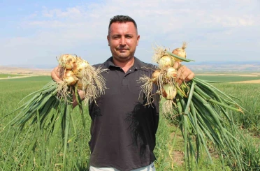 Amasya’da soğan bir bardak çaydan bile ucuz 