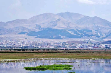 Amerika’nın Erzurum mesaisi: Yüzyıllık belge gün yüzüne çıktı 