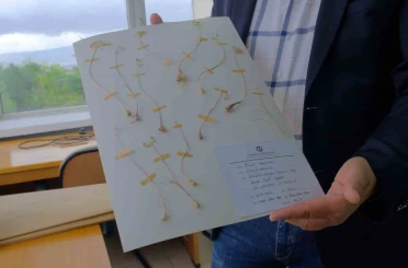 Anadolu Üniversitesi’nden dünya literatürüne iki yeni endemik tür 