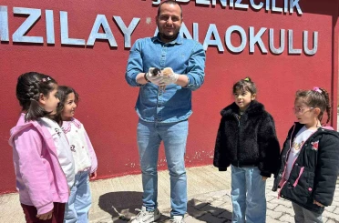 Anaokulunun misafiri ‘Fındık’ 6 yavru dünyaya getirdi 