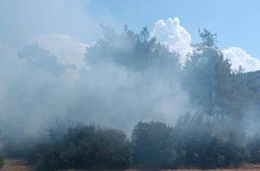Andırın’da orman yangını büyümeden söndürüldü