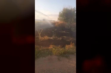 Anız yangını tarım arazileri ve ormanlık alana sıçramadan söndürüldü 