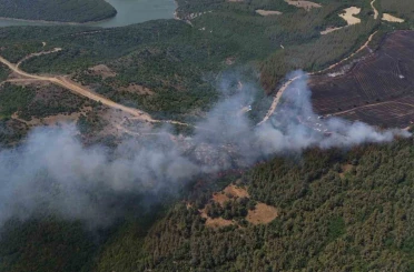 Anızdan ormana sıçrayan yangın dron ile görüntülendi 