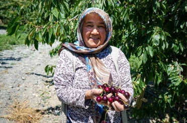 Ankara’da geçen yıl don vuran kiraz bahçelerinde bu yıl 80 tonluk rekolte bekleniyor 