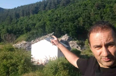 Anne ayı ve 3 yavrusu arazide görüntülendi 