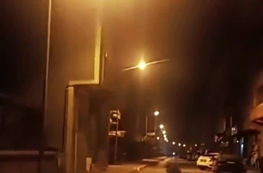 Anne ayı ve yavruları ilçe merkezine indi 