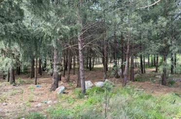 Anne ve oğlunu öldüren katil akrabaların çaldıkları altınları kuyumcuya sattıkları ortaya çıktı 