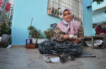 Anneleri telef olan yavru kedileri merhametiyle büyüten kadın, hayvanları biberonla besliyor 
