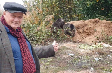 Annelerini kaybeden yavru ayılar, ilçenin maskotu oldu 