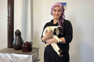 Annesiz kalan kuzu ailenin ‘Umut’u oldu 