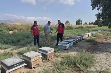 Antakya’da arıcılar bal sağımını sürdürüyor
