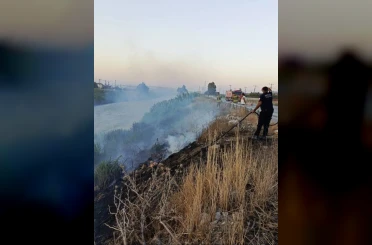 Antakya’da Asi Nehri kenarında sazlık yangını 