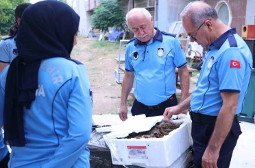 Antalya Otobüs Terminali’nde kerevit operasyonu: 90 kilogram ele geçirildi 