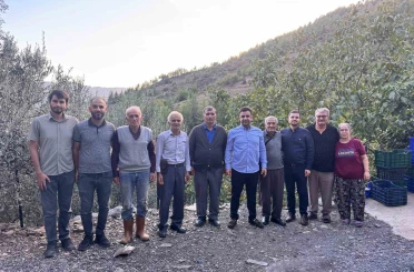 Antalya’da coğrafi işaretli çekirdeksiz narın hasadı başladı