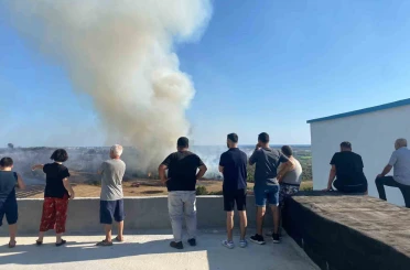 Antalya’da makilik alanda çıkan yangın zeytin ağaçlarına zarar verdi 