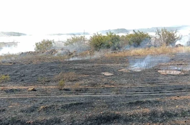 Antalya’da otluk alan yangını itfaiye ekiplerince söndürüldü 