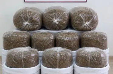 Antalya’da üç ilçede kaçak tütün operasyonu: 400 kilogram tütün ele geçirildi
