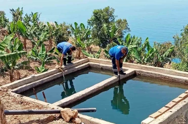 Antalya’da vektörel mücadele kültürel, fiziksel, biyolojik ve kimyasal olarak gerçekleştiriliyor 