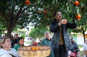 Antalya’nın turunçları Korkuteli’nden sofralara uzanıyor 