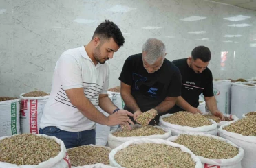 Antep fıstığına ithalat izni çıkıcınca fiyatlar ve satışlar düştü 