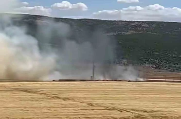 Araban Ovası’nda hasada hazır 93 dönüm buğday kül oldu 