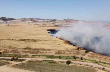 Arazi yangını etrafı küle çevirdi 