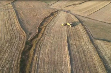 Ardahan’da arpa ve buğday hasadı sürüyor 