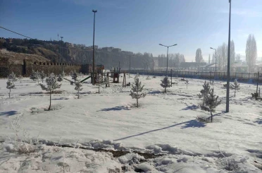 Ardahan’da Sibirya soğukları hayatı olumsuz etkiliyor 