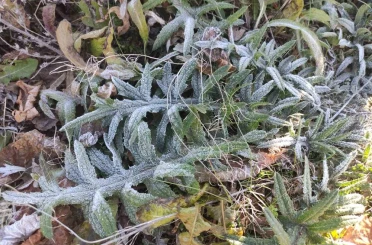 Ardahan’ın Göle ilçesi Türkiye’nin en soğuk yerleşim yeri oldu 