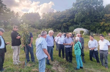 Arıcılar ve akademisyenler kestane balının geleceğini konuştu 