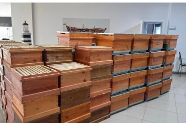 Arıcılık kursiyerlerine kovan desteği 