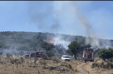 Arıcının tütsüsü ormanı yaktı 