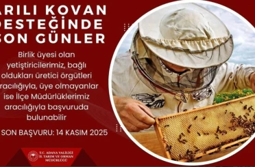 ’Arılı kovan’ desteği için son gün 
