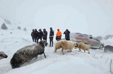 Artvin’de çığ altında kalan 3 çobandan birinin cansız bedenine ulaşıldı 