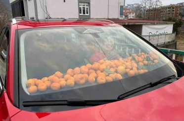 Artvin’de mandalina bereketi torpidoya taştı 