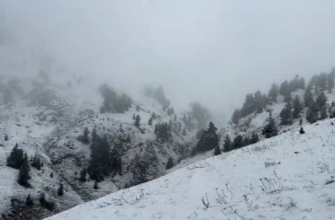Artvin’de yaylalar kar altında 