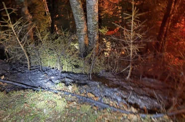 Artvin’de zirai alanda yangın kısa sürede söndürüldü 