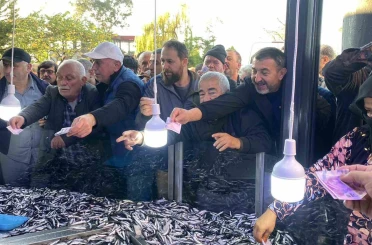 Artvin’in Hopa ilçesinde kilosu 20 liradan satılan 3 ton hamsi 2 saatte tükendi 