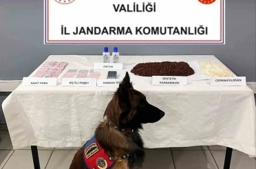 Aseton ve tütünle uyuşturucu yapan 2 kişi tutuklandı 