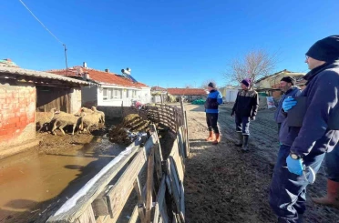 Aşı sırasında yeni doğan kuzu sevindirdi 