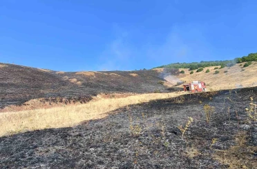 Aşkale Güneyçam Köyü’nde anız yangını: 100 dönüm alan kül oldu 