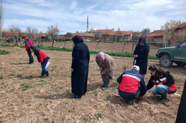 Aslanapa’da çiftçilere yönelik eğitim ve saha çalışmaları gerçekleştirildi 