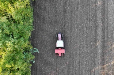 Ata tohumu siyez buğdayı Düzce topraklarında yetişecek 