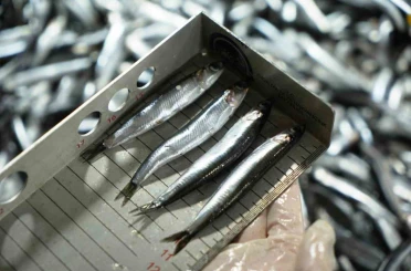 Avcılık denetimlerinde ceza yağdı: 2,6 milyon TL’yi aştı 