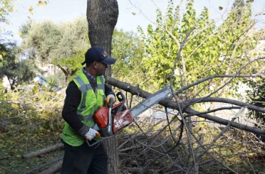 Aydın Büyükşehir Kemer Mahallesi’nde budama ve temizlik çalışması gerçekleştirdi 