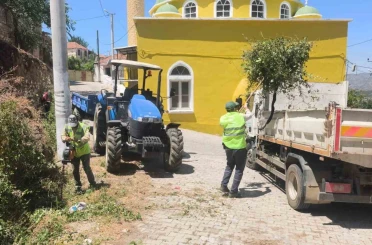 Aydın Büyükşehir’den Karpuzlu’daki yeşil alanlarda bakım ve düzenleme çalışması 