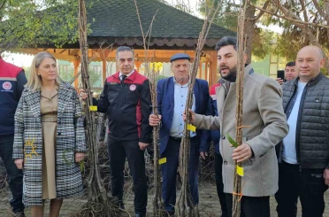 Aydın dağları sağlıklı kestane ağaçlarıyla donatılıyor 