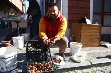Aydın dağlarından gelen lezzet beşbıyık meyvesi tezgahlarda yerini aldı 
