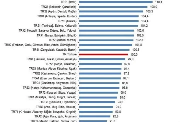 Aydın-Denizli-Muğla Bölgesi, Türkiye ortalamasına göre daha pahalı 